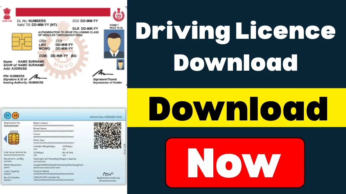 Download Driving Licence